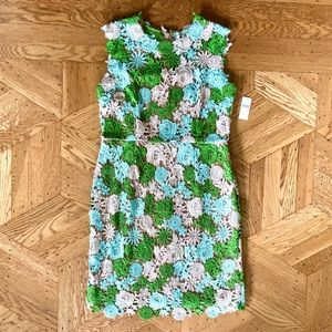 Anthropologie Dress Gorgeous Detail